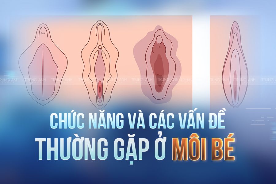 Chứng năng và các vấn đề thường gặp ở môi bé