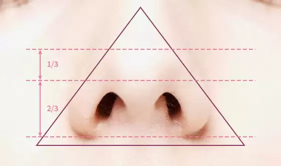 Các bác sĩ của Trung Anh Group chia sẻ về phương pháp tạo hình đầu mũi